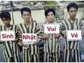tin vịt